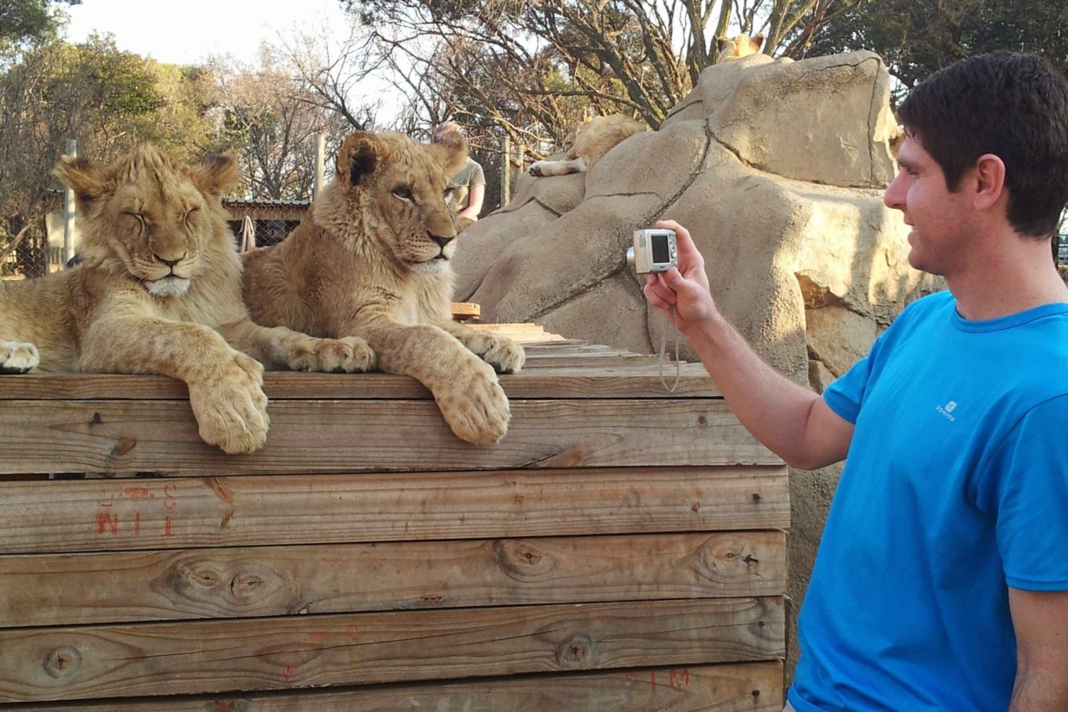 from-lion-safari-park-half-day-tour-577453.jpg