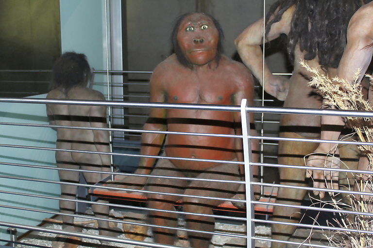 The-Cradle-of-Human-Kind.jpg
