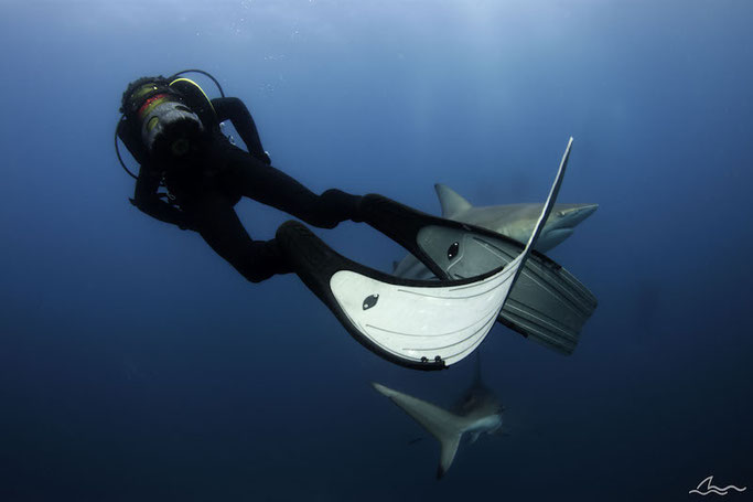 aliwal-shoal-south-africa.jpg