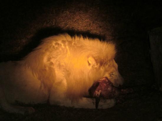 filename-09-night-feeding.jpg
