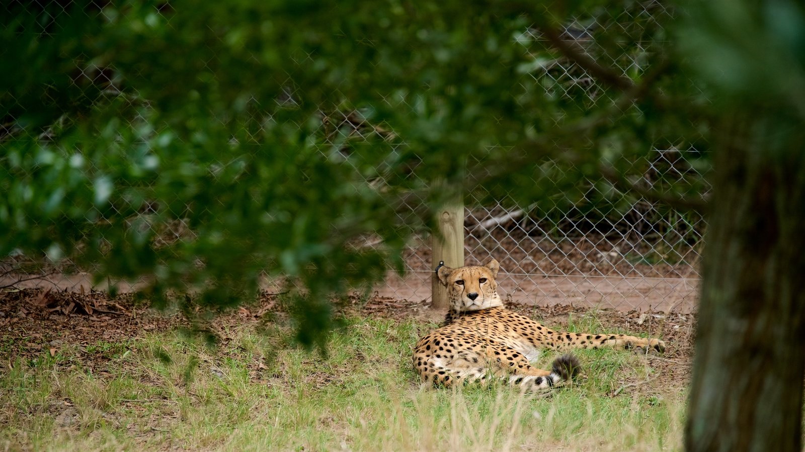 Jukani-Wildlife-Park.jpg