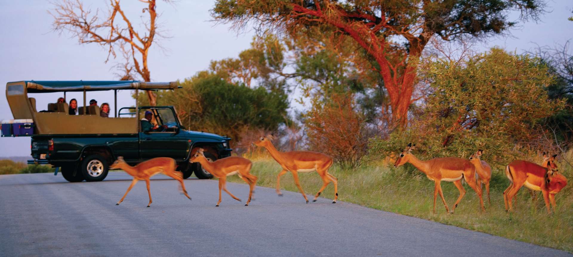 kruger_park_game_drive_11__1920x864.jpg