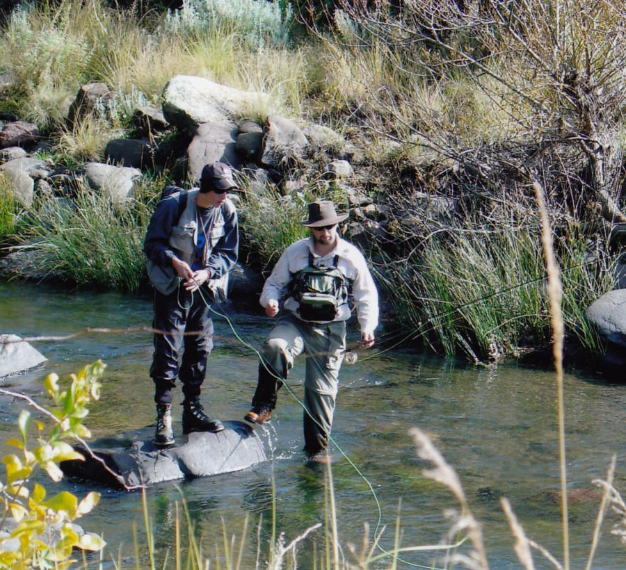 fis.jpg