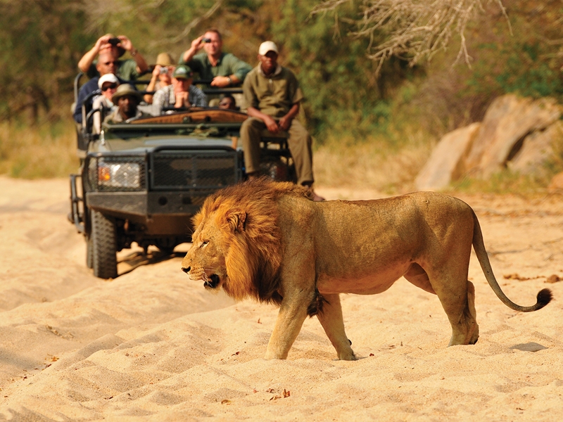 inyati-private-game-reserve-guides-header.jpg