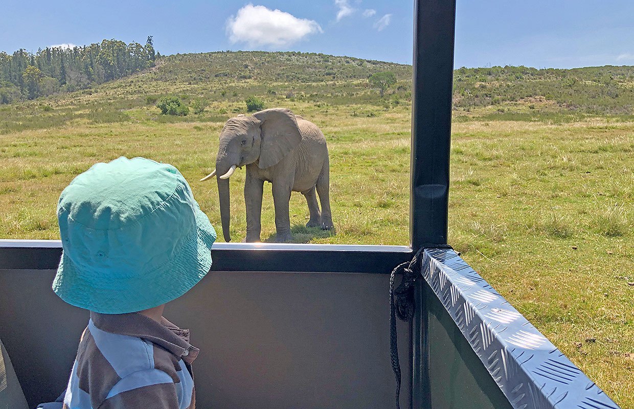 Safari_game_drive_with_kids.jpg