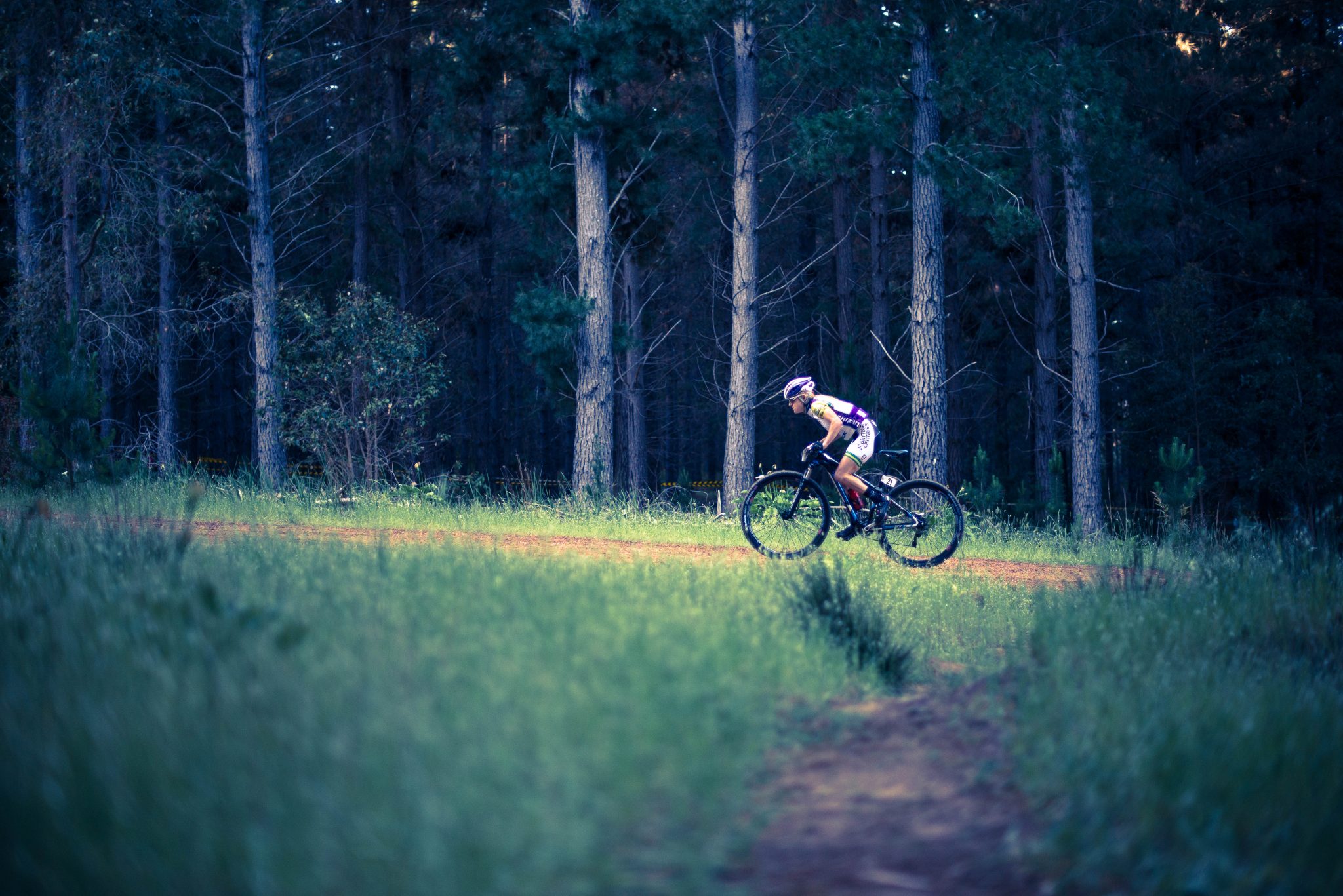 elements-mtb-archival-1.jpg