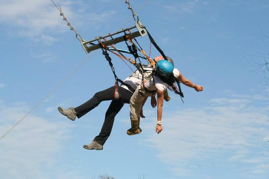 adrenalin-addo.jpg
