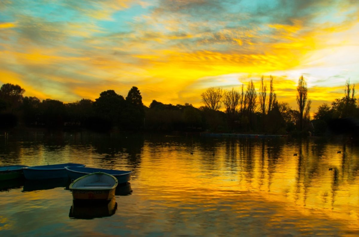 zoo_lake4.jpg