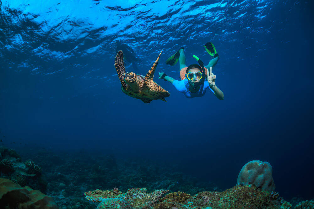 reef 3.jpg