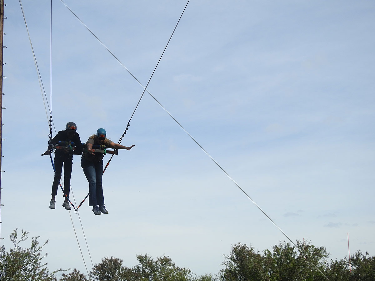 bridgeswingadoo _1_.jpg