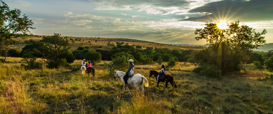 Harties-Horse-Trail-Safaris-4.jpg