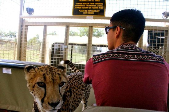 lion-park _1_.jpg