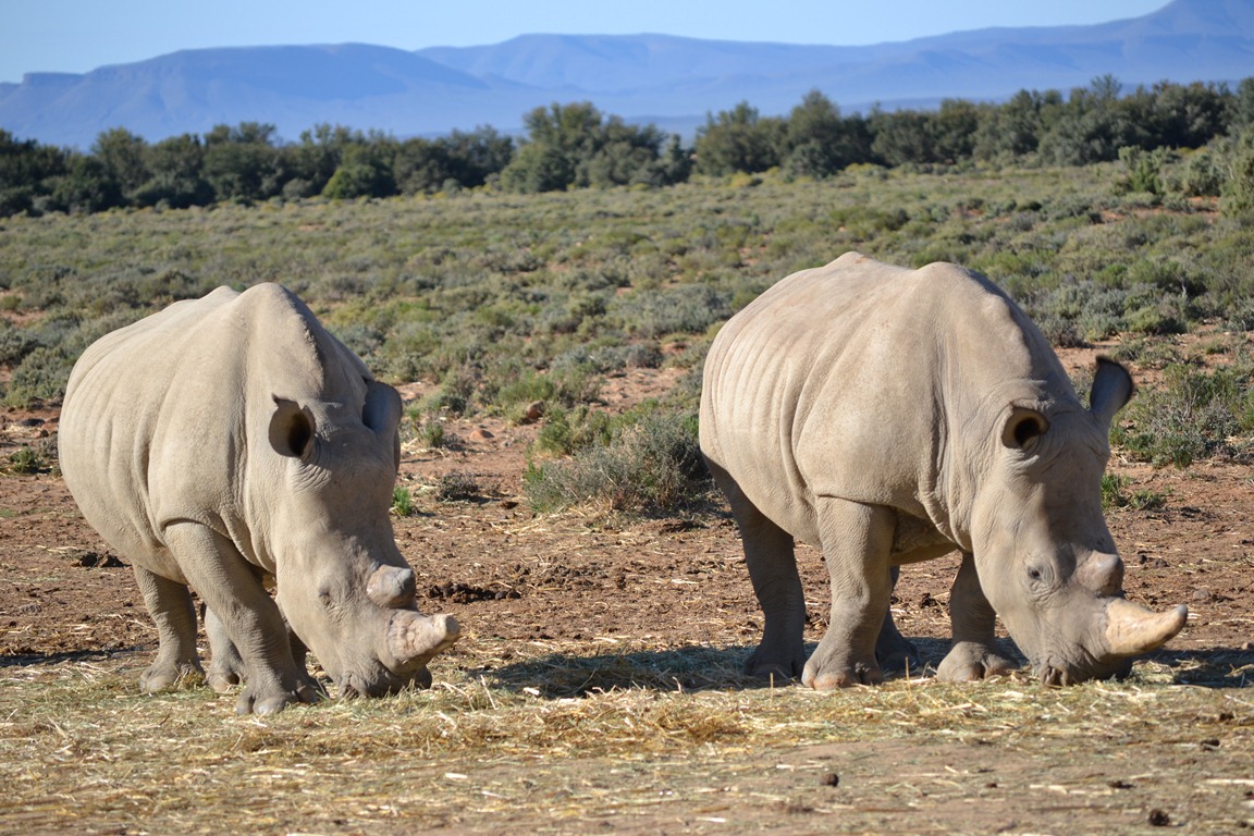 inverdoorn 05.jpg