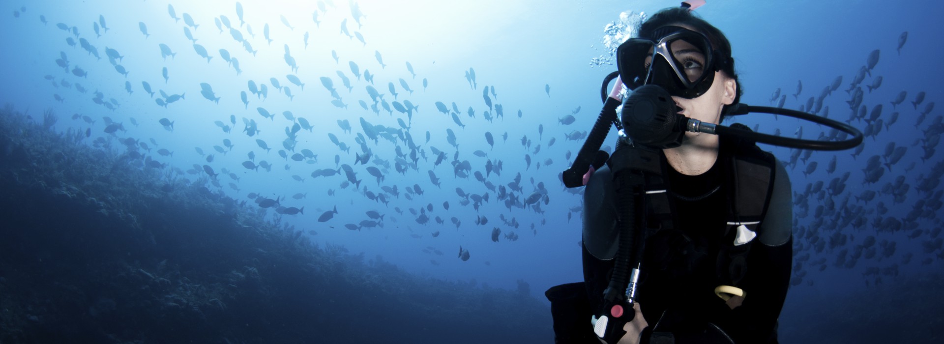 padi.jpg