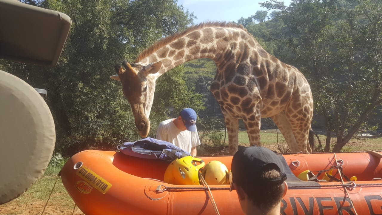 White-River-Rafting-through-the-lion-Park-10.jpeg