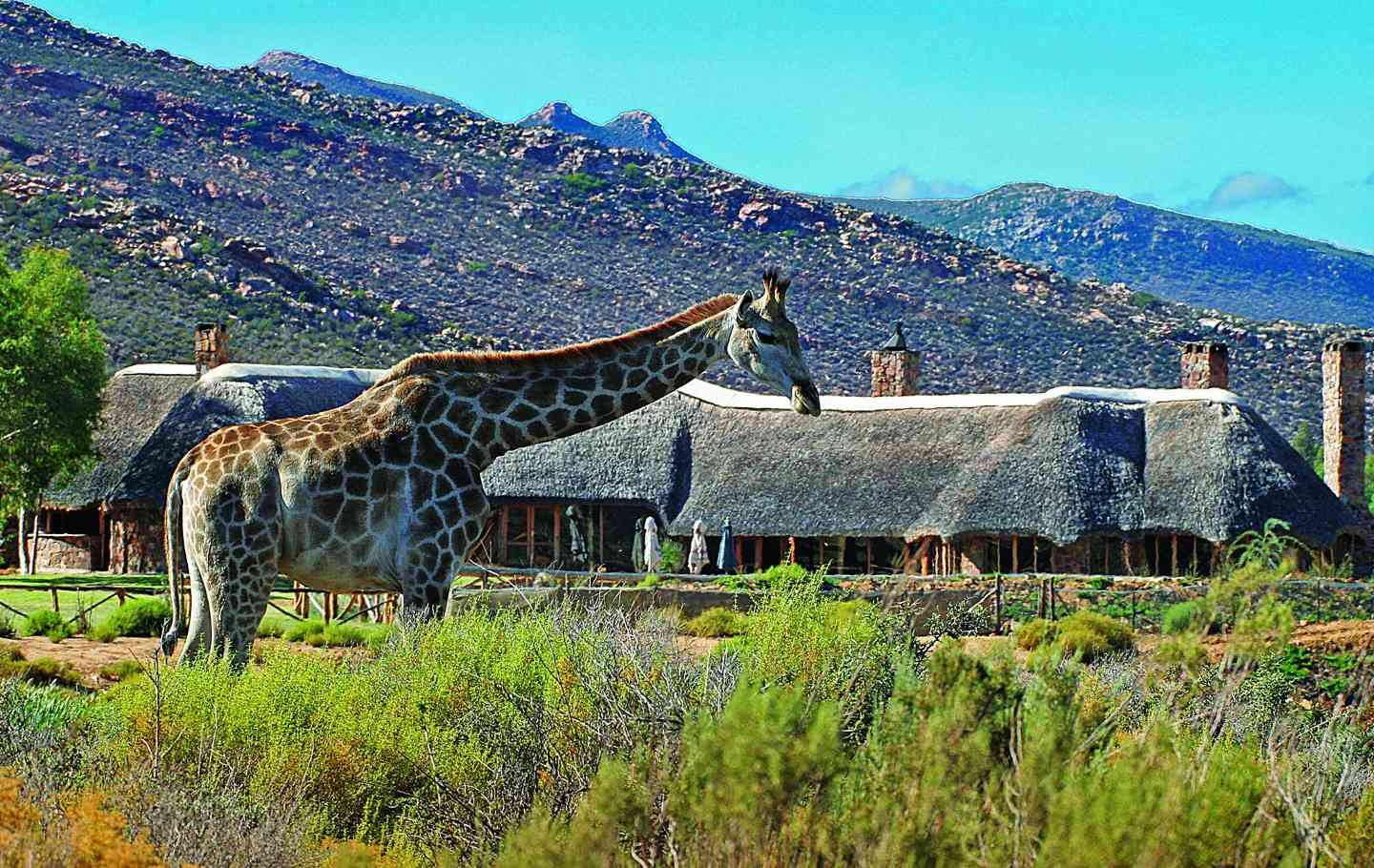aquila-private-game-reserve.jpg
