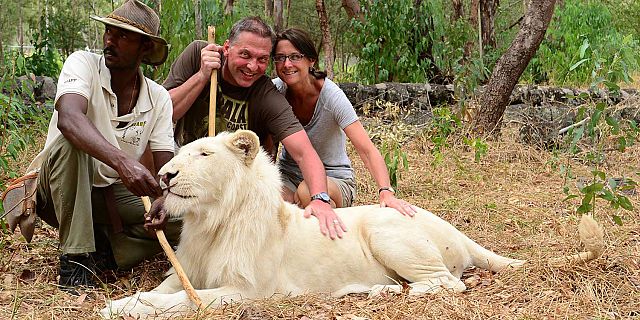 9-petting-lions-in-mauritius.jpg
