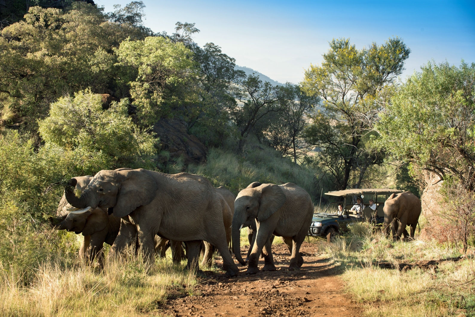 kwa-maritane-gamedrive.jpg