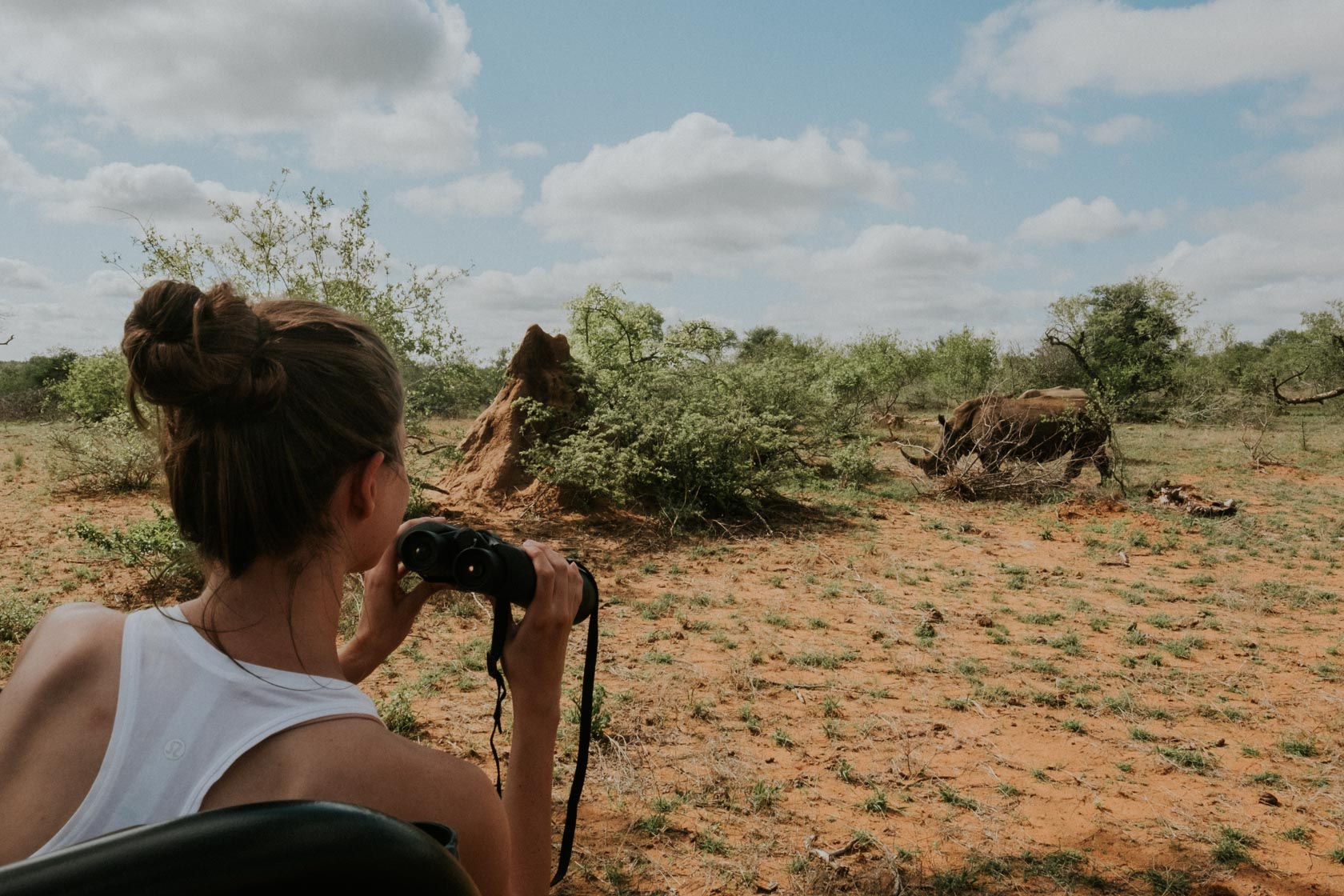 motswari-viewing-rhinos.jpg