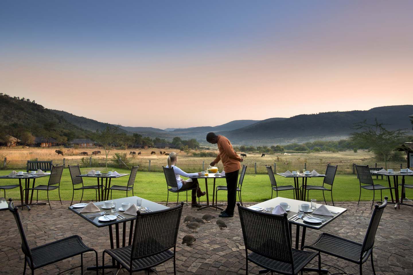 bakubungbushlodge_78-x_large.jpg