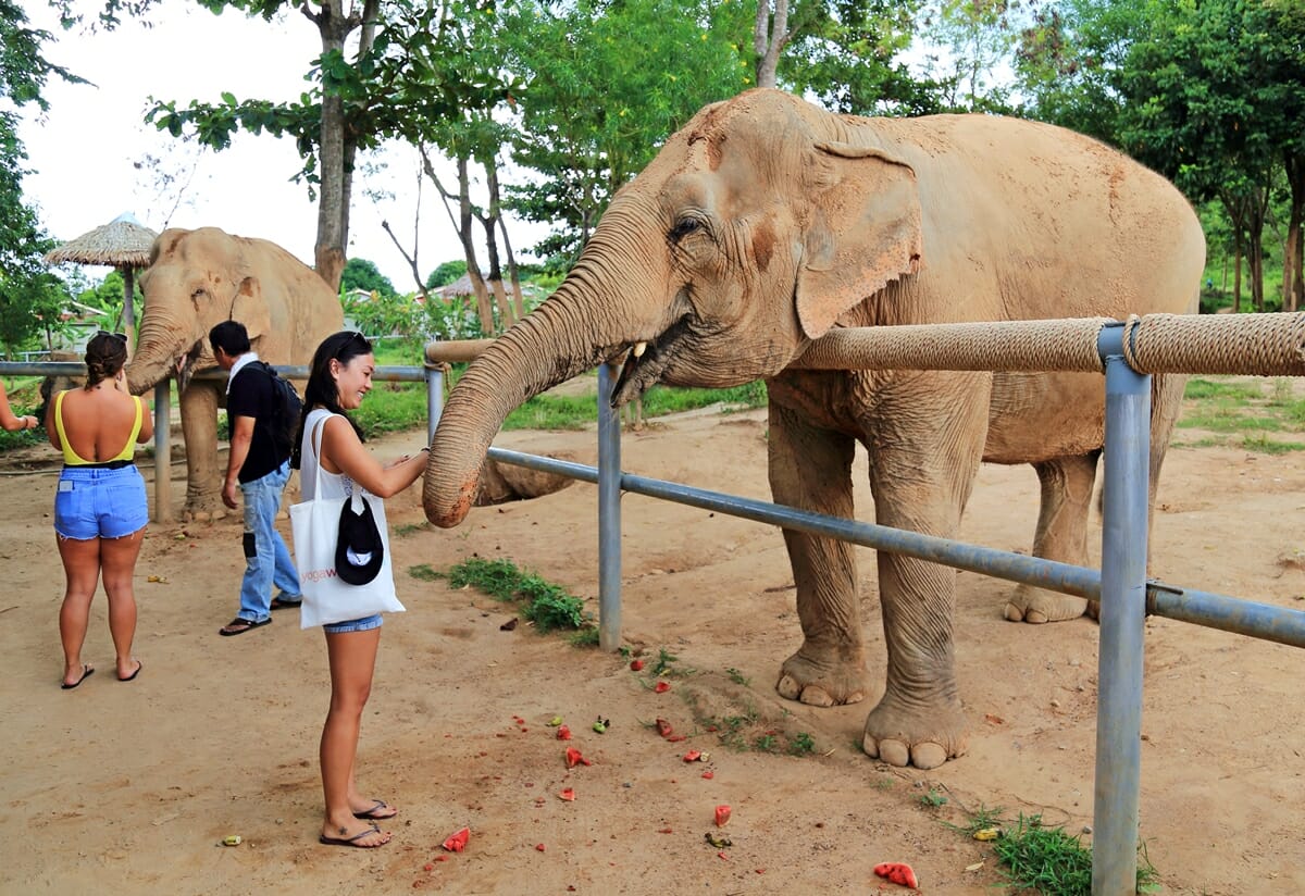 Elephant-Sanctuary.jpg