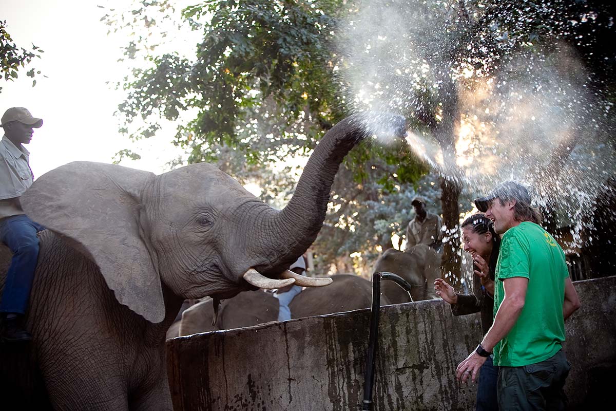 Elephant-Interaction-3.jpg
