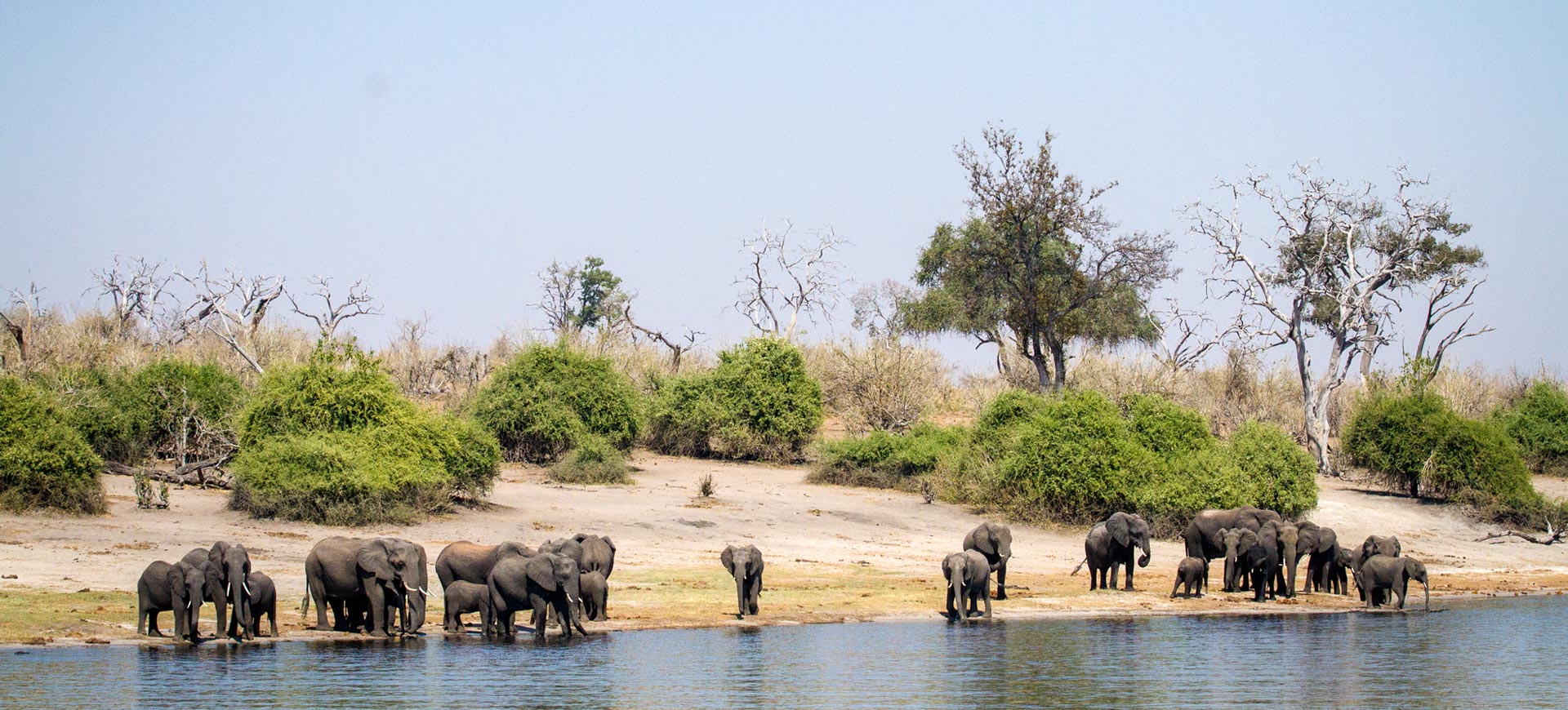 Chobe-Day-Tours.jpg