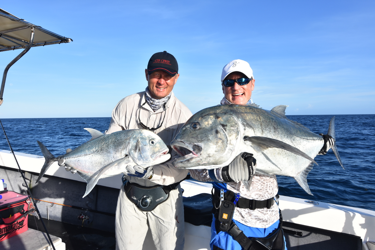 seychelles fish.jpg