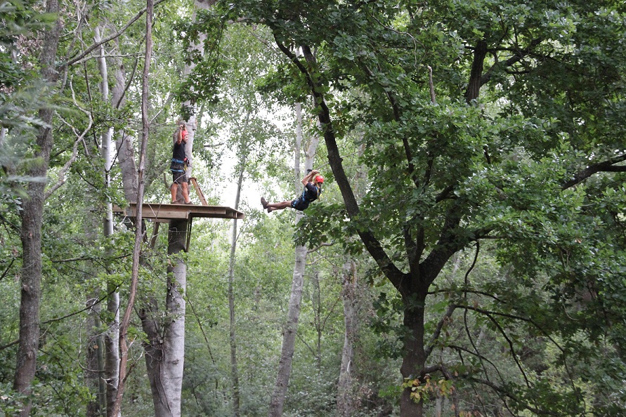 SA-FOREST-ADVENTURES-TREE-TOP-SLIDES-2.jpg