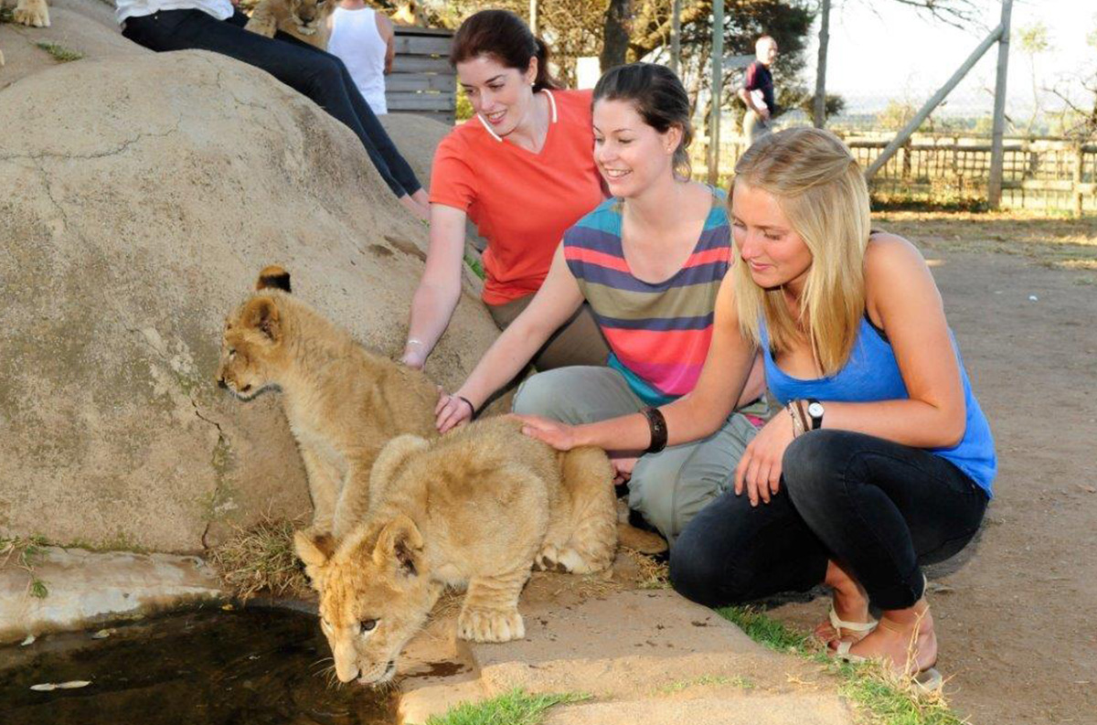 cub-interaction.jpg