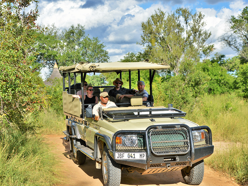 hoyo-hoyo-safari-experience-1.jpg