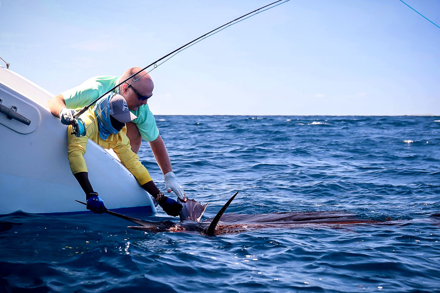 Fly-Fishing-Seychelles-g-41.jpg