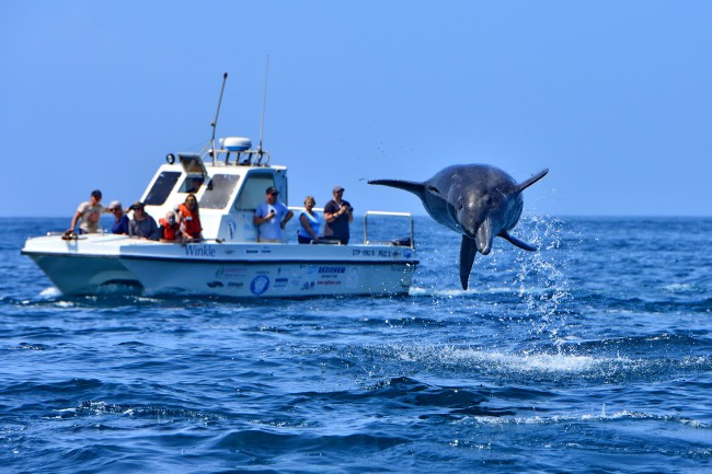 Raggy_charters.jpg