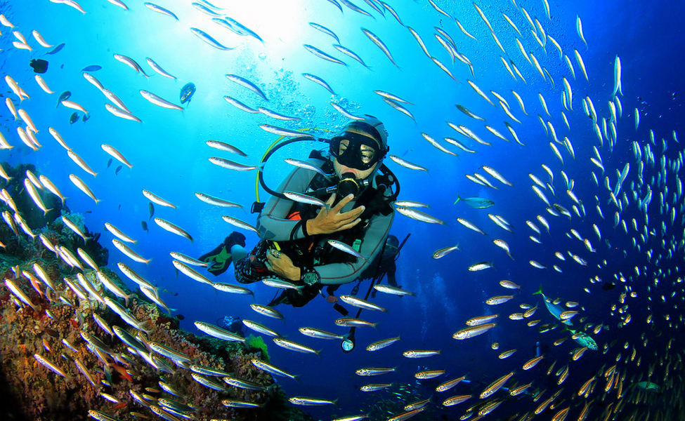 scuba.jpg