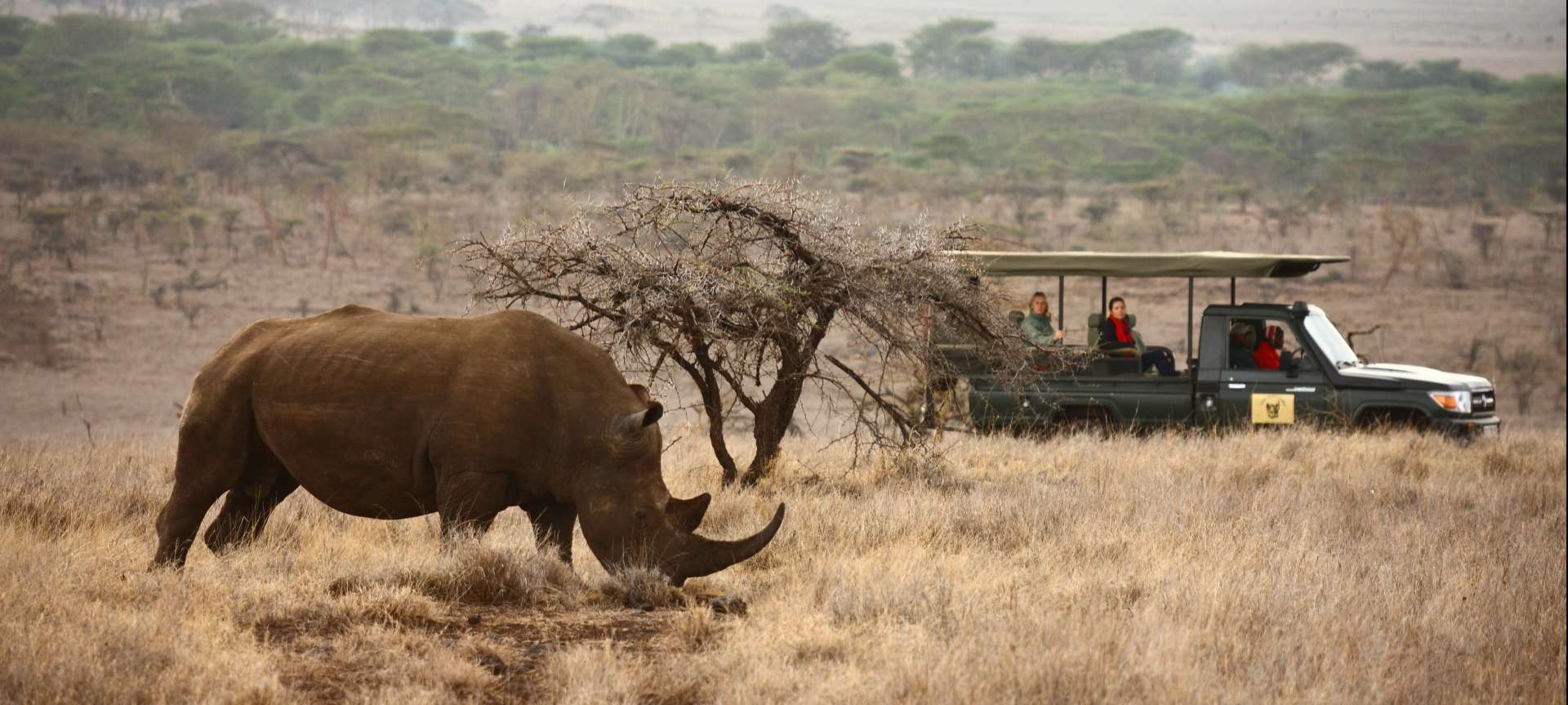 lewa_safari_camp_-_game_drive_-_rhino.jpg