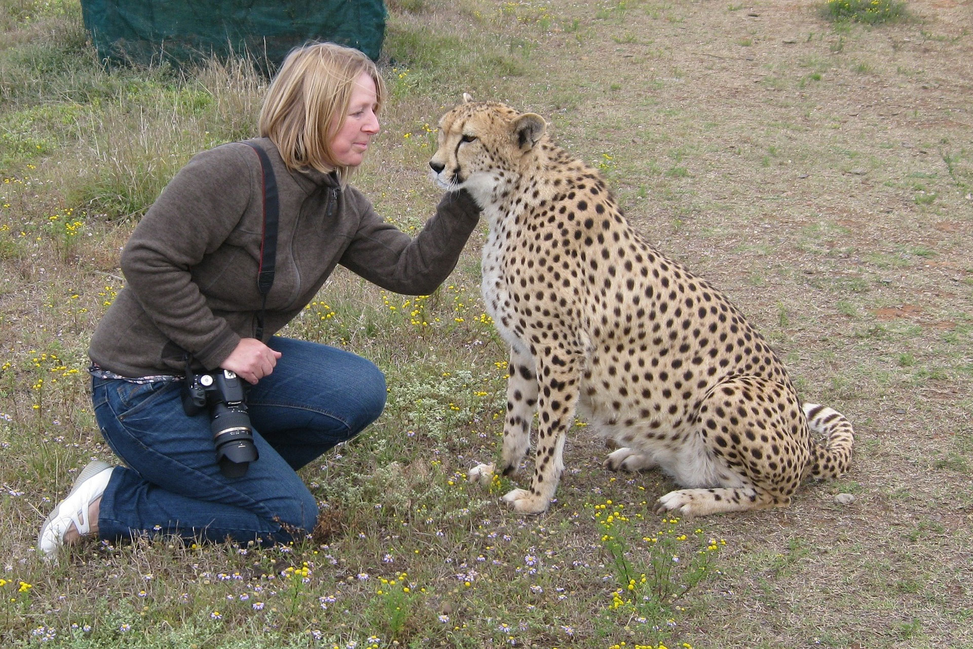 woman-cheetah.jpg