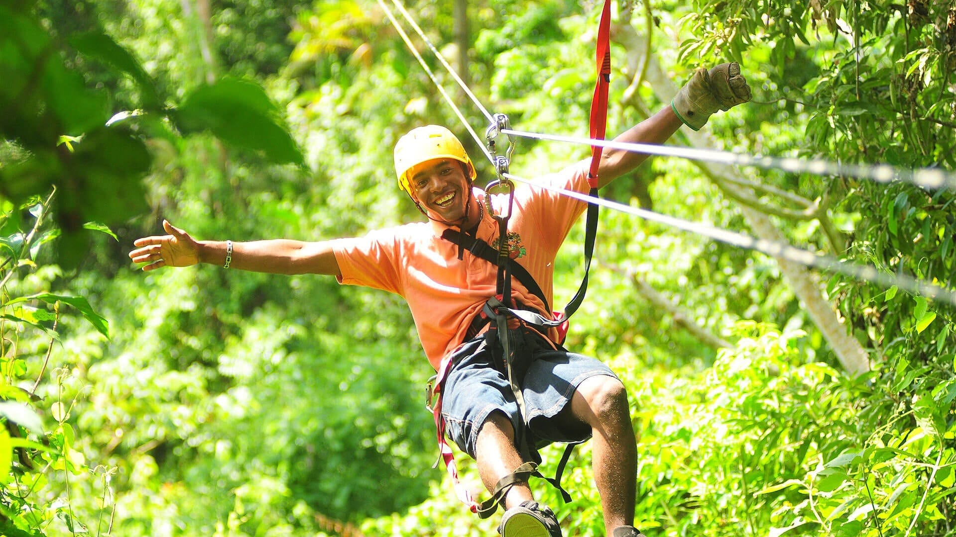 canopy-rides-4.jpg