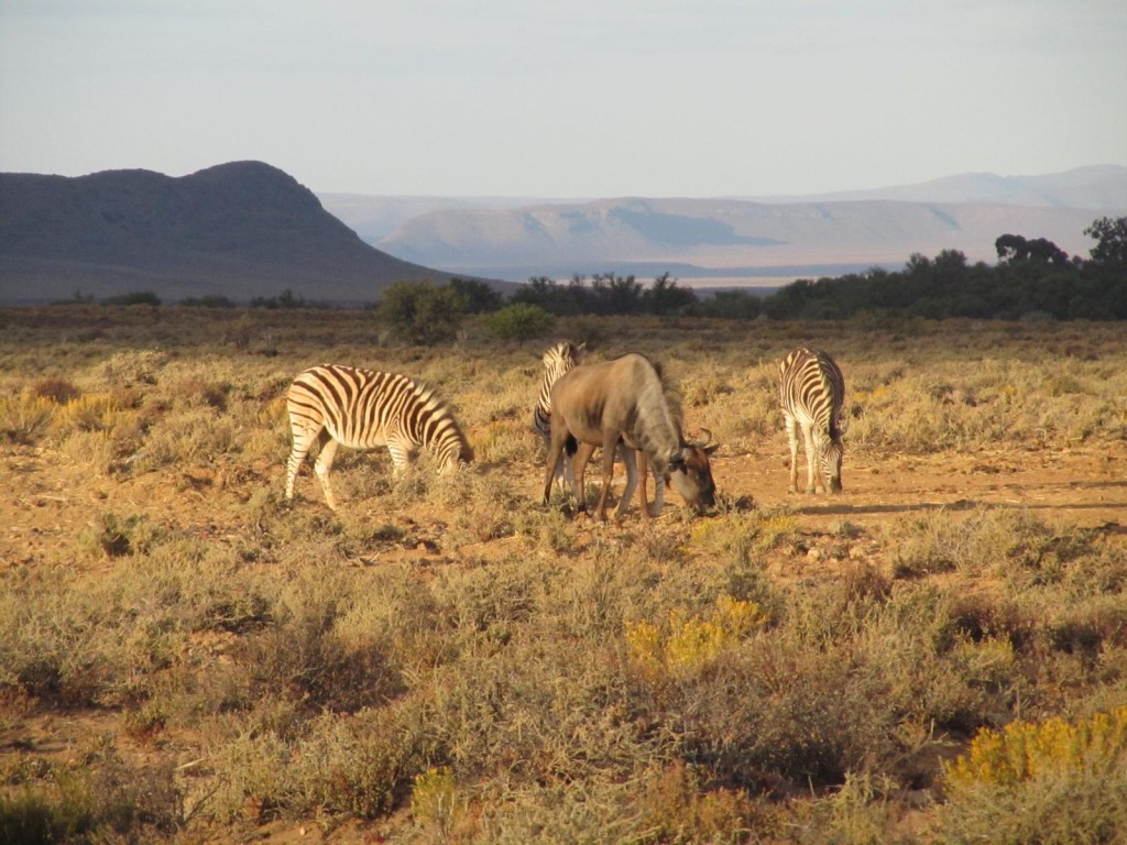 inverdoorn 02.jpg