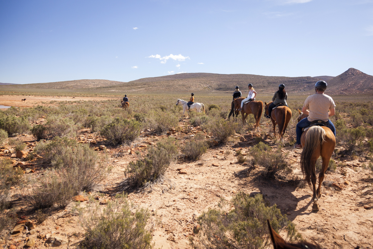 aquila-game-reserve-safari-horse-058.jpg