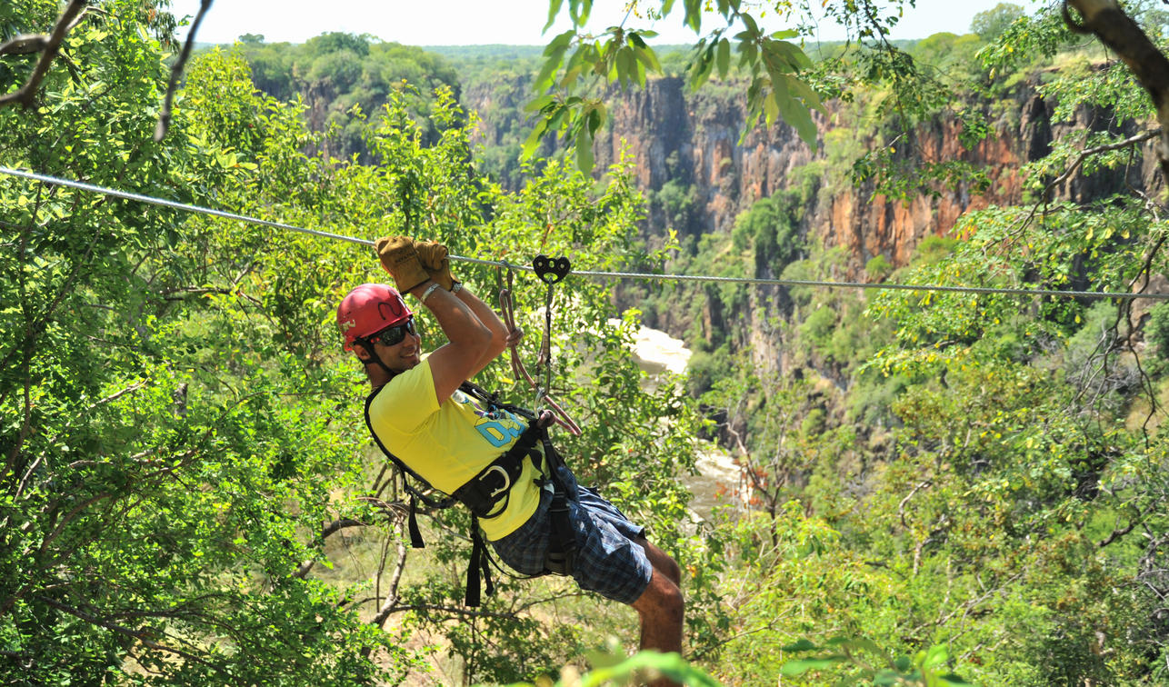 wh_canopy03.jpg