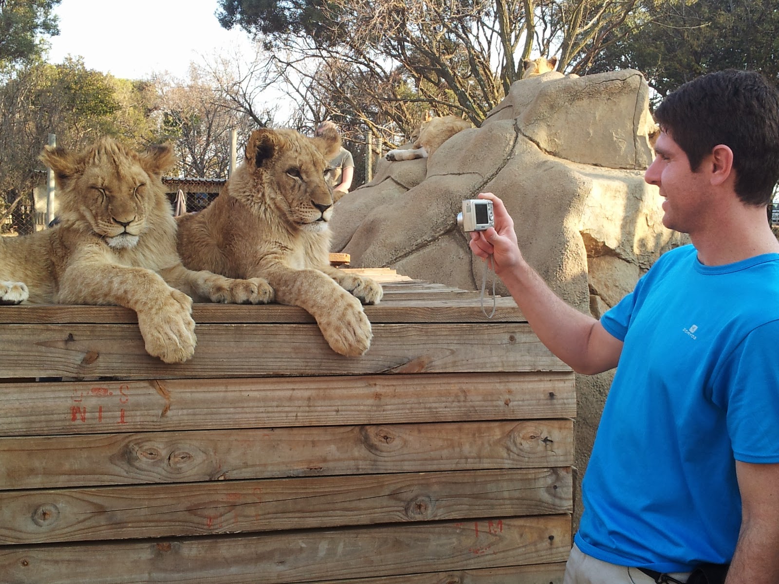 Lion-park1.jpg