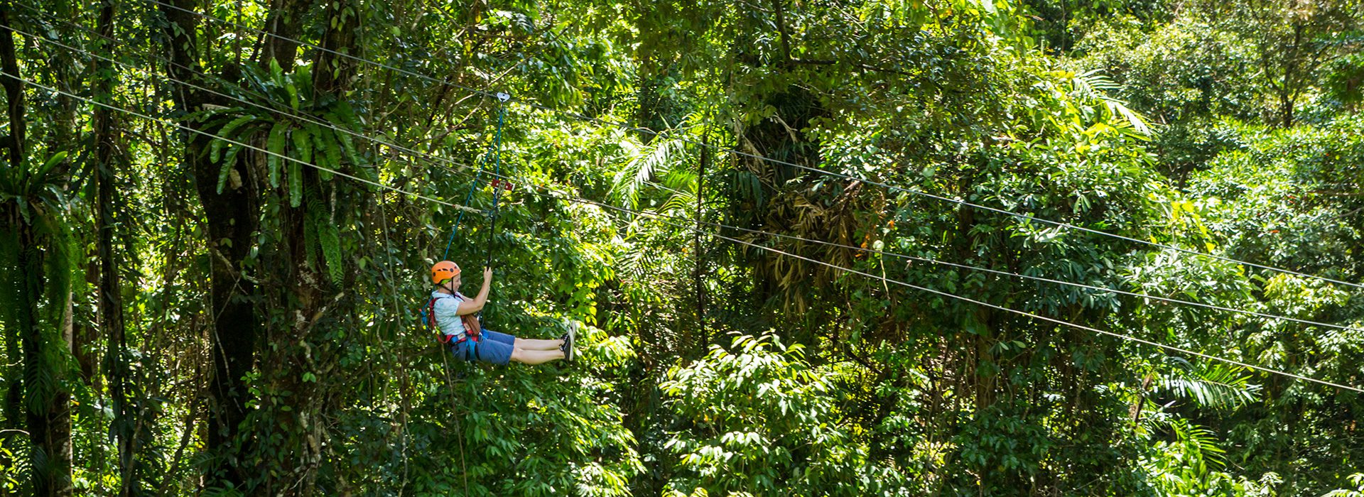 JUNGLE-SURFING.jpg