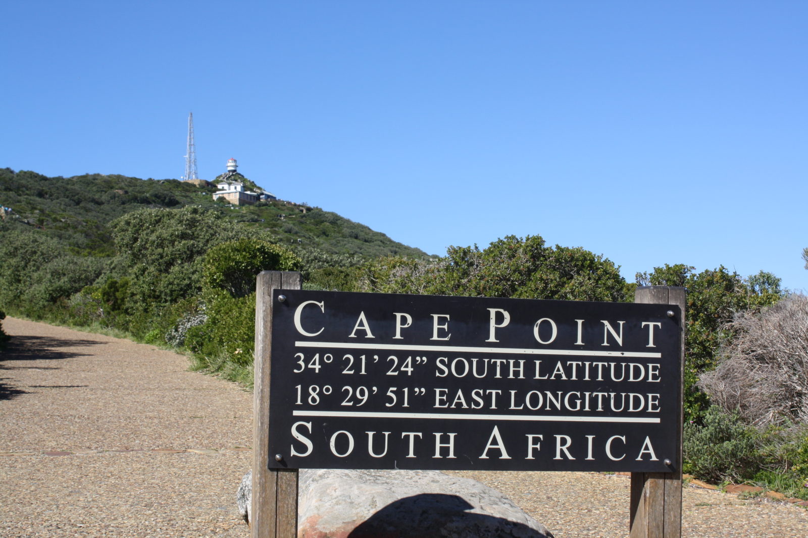 cape point eagle.jpg