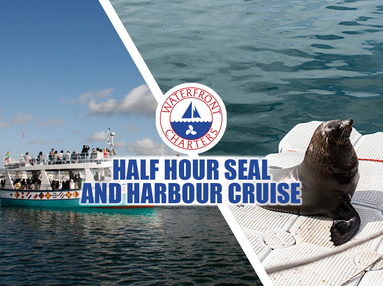 Waterfront Charter Half Hour Seal and Harbour Cruise